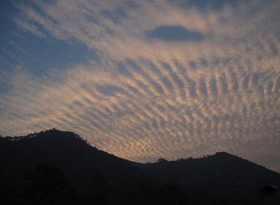 ��������ʲô���ӵ���ͼƬ ����Щ���෢������ǰ����ͼƬ