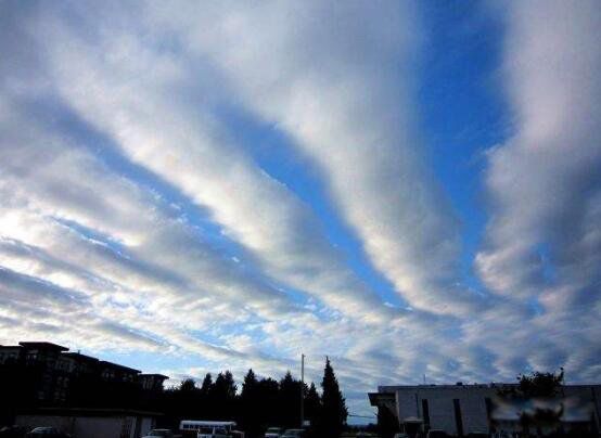 ��������ʲô���ӵ���ͼƬ ����Щ���෢������ǰ����ͼƬ