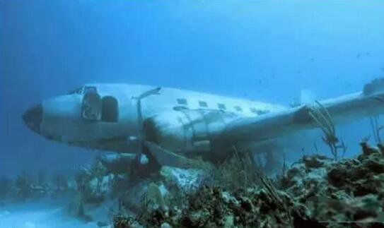 ��Ľ�����ǵ�������� ۶�����İ�Ľ������֮������