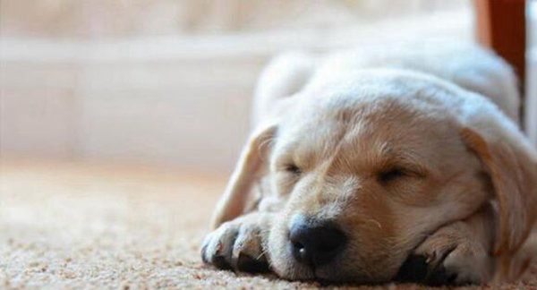 ����������ʮ������ �����������ڻ���ʲô��˼