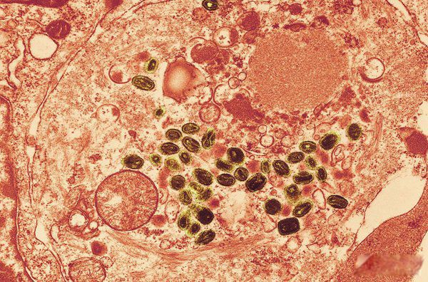 ����������ʮ������ �����������ڻ���ʲô��˼