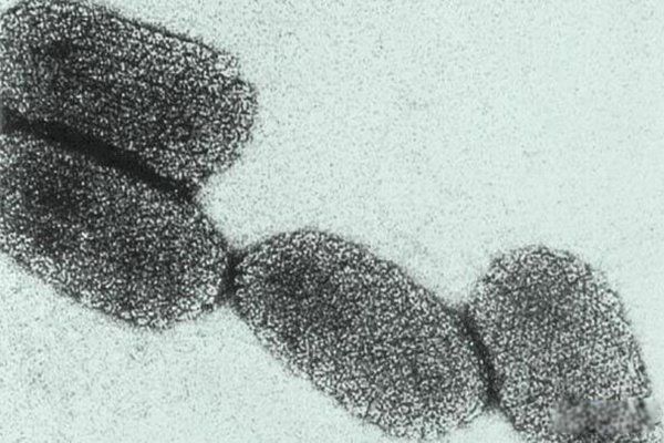 ����������ʮ������ �����������ڻ���ʲô��˼