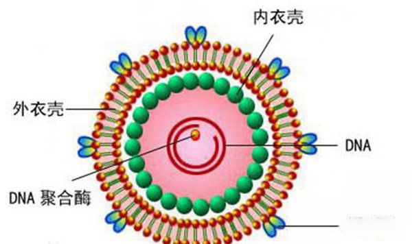 ����������ʮ������ �����������ڻ���ʲô��˼