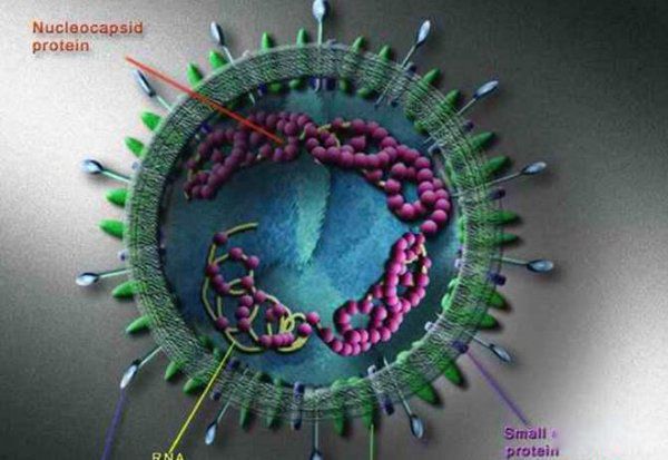 ����������ʮ������ �����������ڻ���ʲô��˼