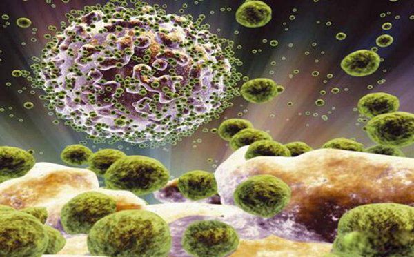 ����������ʮ������ �����������ڻ���ʲô��˼