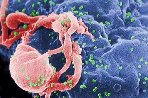 ����������ʮ������ �����������ڻ���ʲô��˼