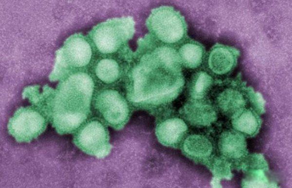 ����������ʮ������ �����������ڻ���ʲô��˼