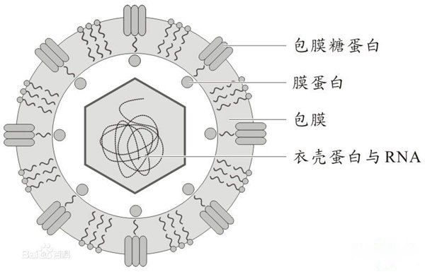 ����������ʮ������ �����������ڻ���ʲô��˼