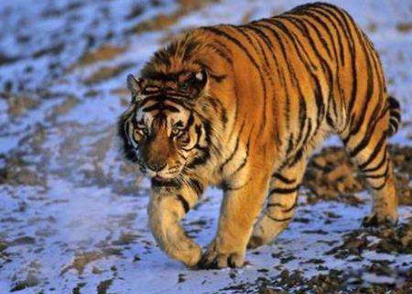 �����ϻ����ض��ٽ� 780����ʷ�������ϻ�