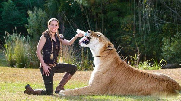 �����ϻ����ض��ٽ� 780����ʷ�������ϻ�