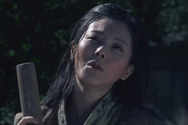 �ݷ��˵���ʷ���� �������ݷ�������������˼���