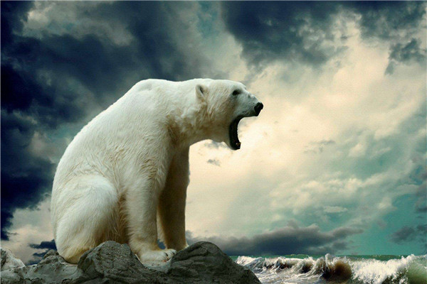 ��󱱼��ܶ��ٹ����� �����൱����������֮һ