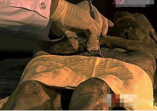 清朝女尸300年不腐坏 清朝放在县衙里的美女干尸事件真相