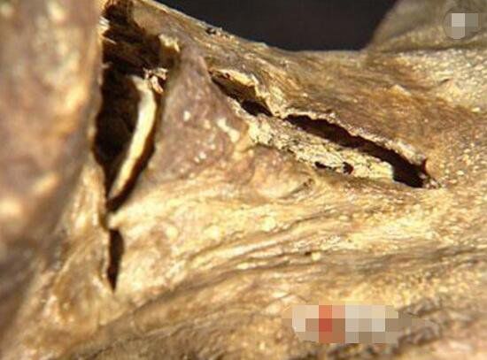 清朝女尸300年不腐坏 清朝放在县衙里的美女干尸事件真相