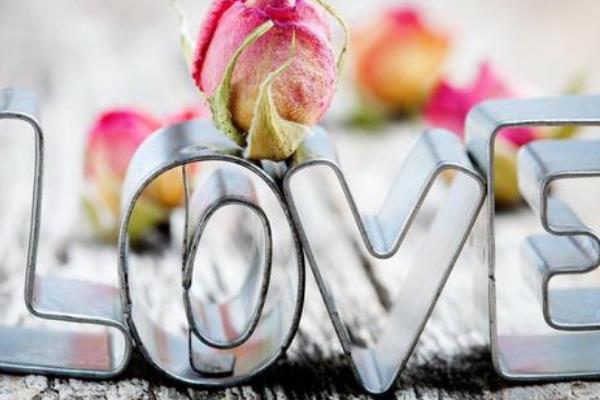 231��ʲô��˼ ��������2313����ɶ��˼