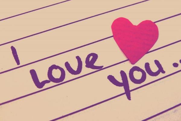 231��ʲô��˼ ��������2313����ɶ��˼