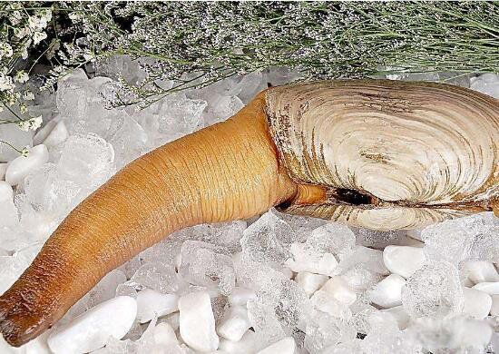 ��ΰ�ͼƬ��ò ����������ʲô����