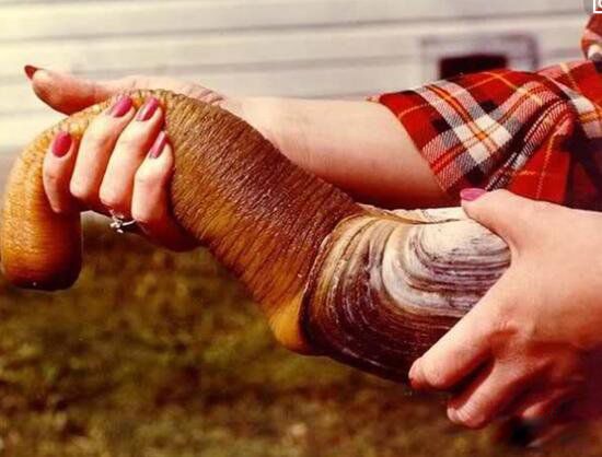 ��ΰ�ͼƬ��ò ����������ʲô����