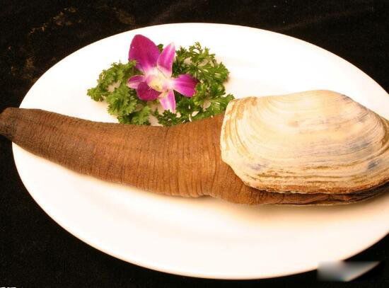 ��ΰ�ͼƬ��ò ����������ʲô����