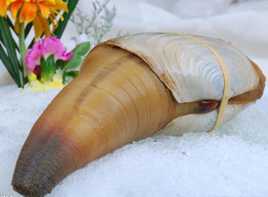 ��ΰ�ͼƬ��ò ����������ʲô����