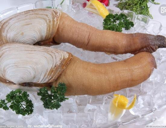 ��ΰ�ͼƬ��ò ����������ʲô����