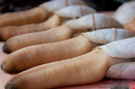 ��ΰ�ͼƬ��ò ����������ʲô����