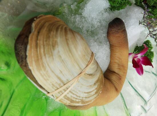 ��ΰ�ͼƬ��ò ����������ʲô����