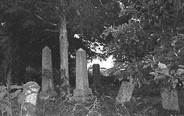 �����������ֲ������¼����� ���������������Ǽ�