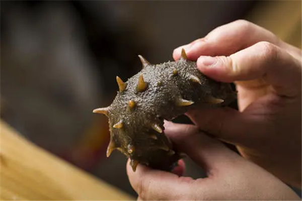 ������ǿ�Ķ�������Щ ������������ǿ�Ķ�������