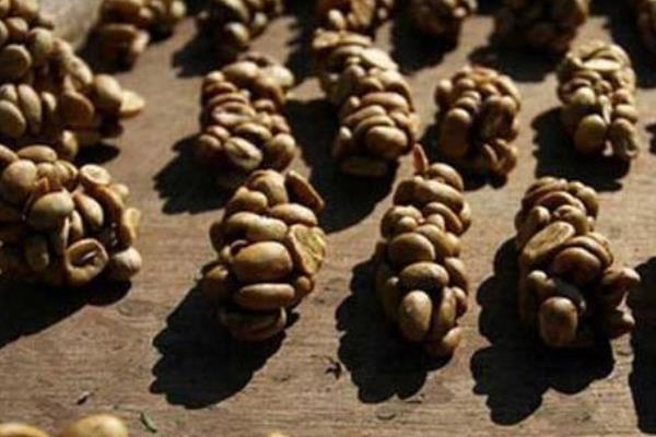 最贵猫屎咖啡的价格是多少 正宗的猫屎咖啡多少钱一斤