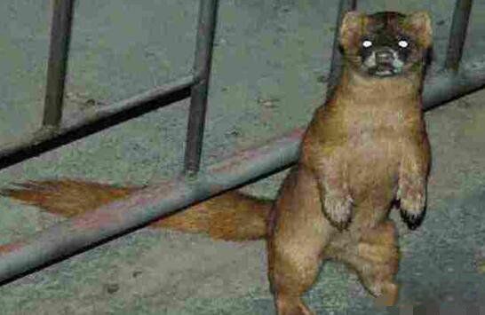 �����Ǹ�����ʲô֢״ �����������������ҵ���