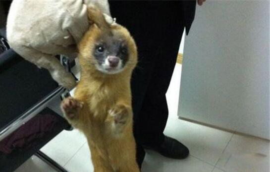 �����Ǹ�����ʲô֢״ �����������������ҵ���