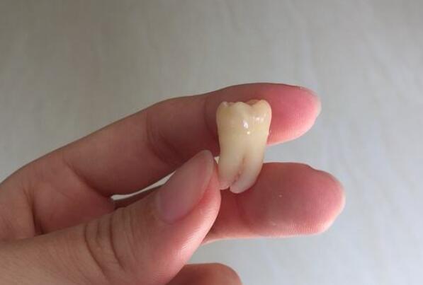 ���ǳݻ������ һ�ΰ������ǳݻ��۵�����Щ��