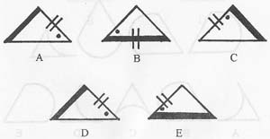 ����˹̹��������������Щ ��ҵ��˭����