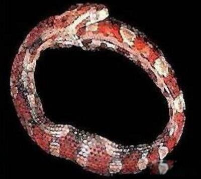 ������ʲô����ʵͼƬ ���Ե����������