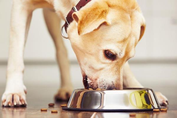 特殊职业有哪些 一些特殊的职业是什么