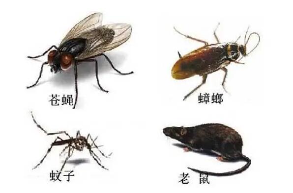 �ĺ�ָ����ʲô���� ��˵�������ĺ������ֺ���