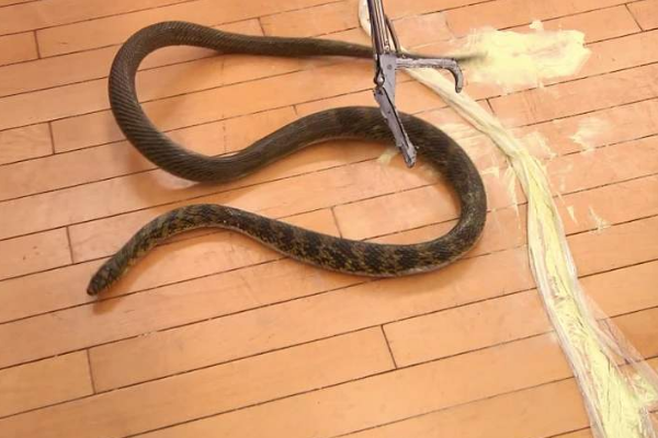 ũ������ۻ������������ ������ʲô�����������Ч