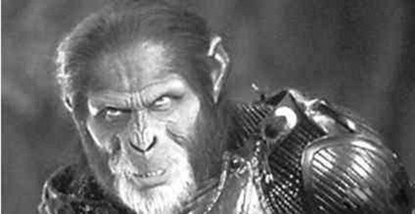 �����Ŀֲ�ʵ������Щ ǰ����ʮ��ֲ�ʵ��