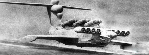 �����Ŀֲ�ʵ������Щ ǰ����ʮ��ֲ�ʵ��