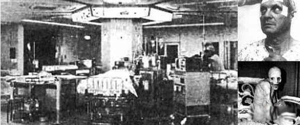 �����Ŀֲ�ʵ������Щ ǰ����ʮ��ֲ�ʵ��