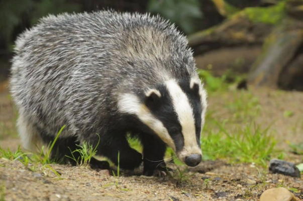 ���ʲô����,��ʲô�� ��ʵ���ͼƬ