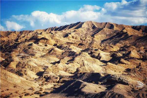 ���ľ���λ������ ���ҹ����Ĵ����֮һ