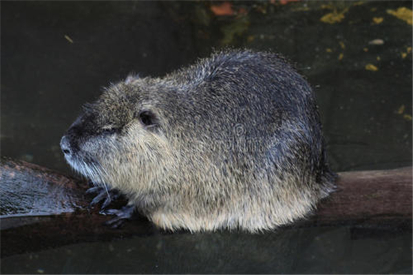 ������������������ 10�����������ʲôƷ��