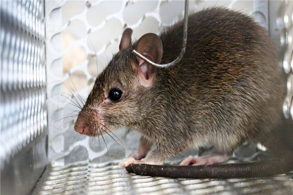 ������������������ 10�����������ʲôƷ��