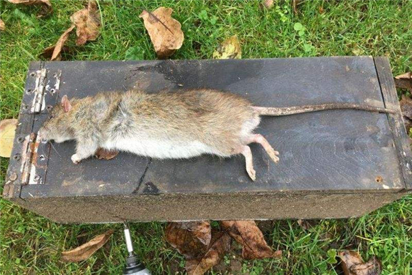 ������������������ 10�����������ʲôƷ��