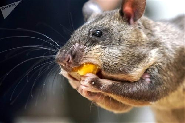 ������������������ 10�����������ʲôƷ��