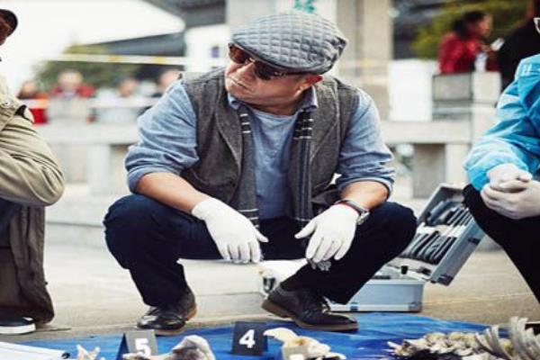 ʮ�����Ӧ����ʵ������ʲô ����Щ��������ʵ������