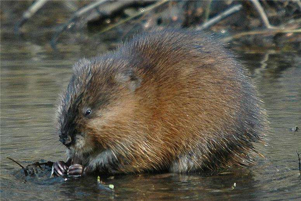 ������������������ 10�����������ʲôƷ��