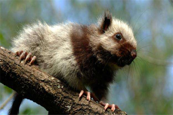 ������������������ 10�����������ʲôƷ��